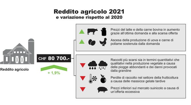 infografik_einkommen_b2021_it_def.jpg